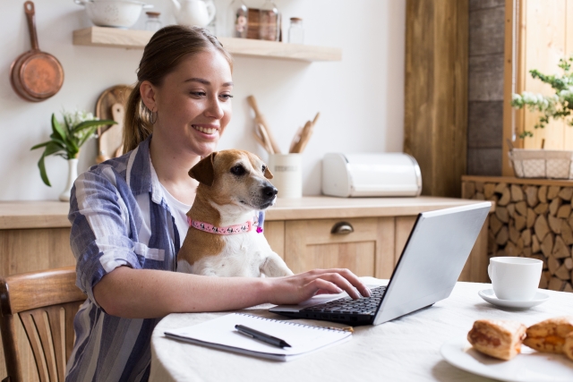 PCで調べる女性と犬