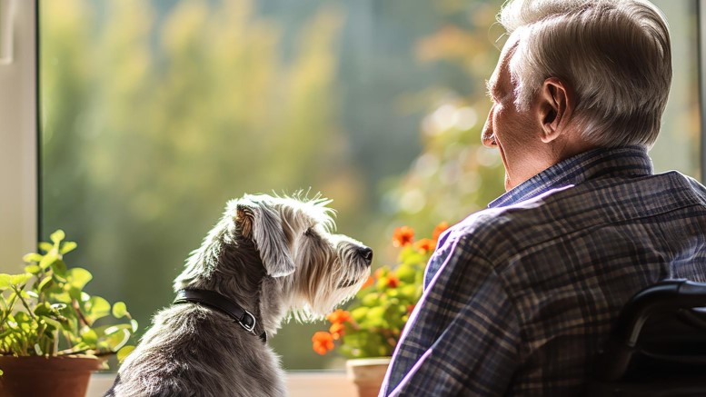 一匹の犬が老父の飼い主といる