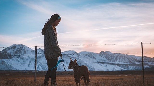 女性と犬が一匹たっている